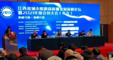 开云手机站·官方端在线入口-开云(中国)受邀参加江西省城市照明高质量发展高峰论坛